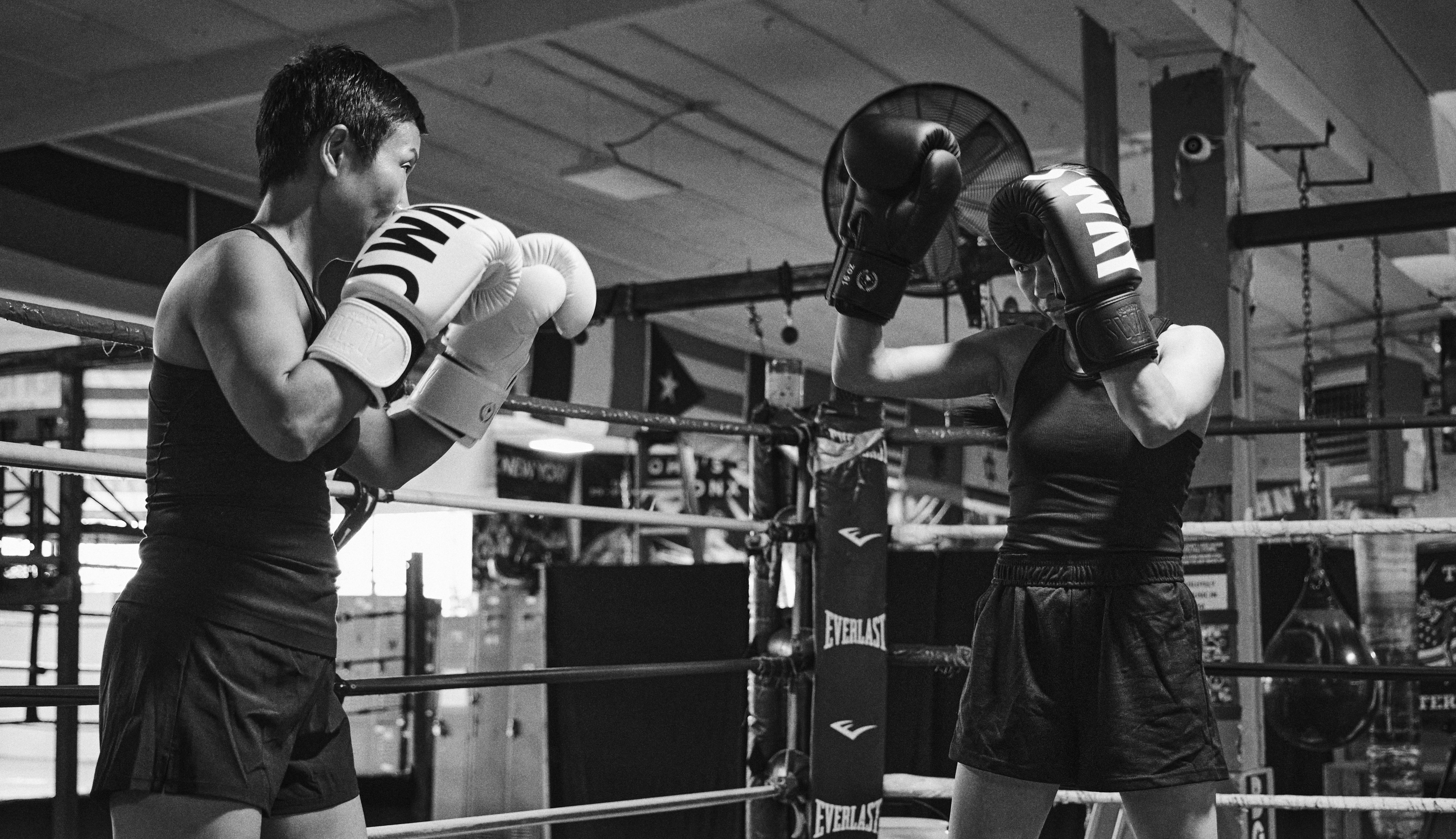 Sway Fight Shop